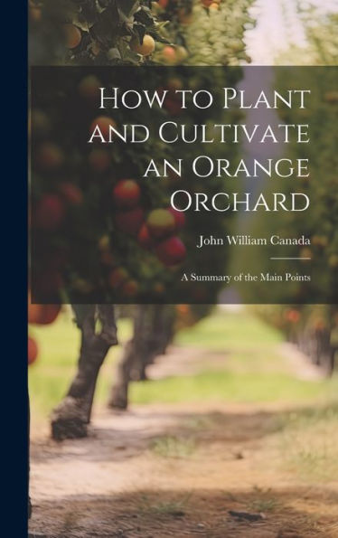 How To Plant And Cultivate An Orange Orchard; A Summary Of The Main Points