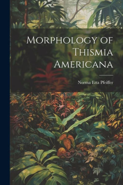 Morphology Of Thismia Americana