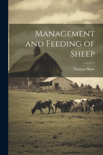 Management And Feeding Of Sheep
