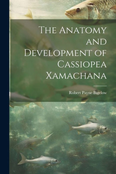 The Anatomy And Development Of Cassiopea Xamachana - 9781021414045