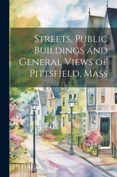 Streets, Public Buildings And General Views Of Pittsfield, Mass