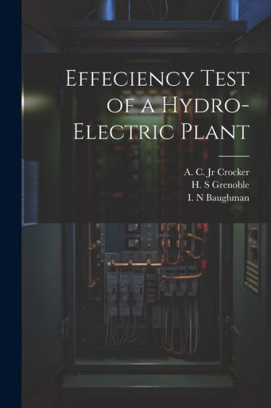 Effeciency Test Of A Hydro-Electric Plant