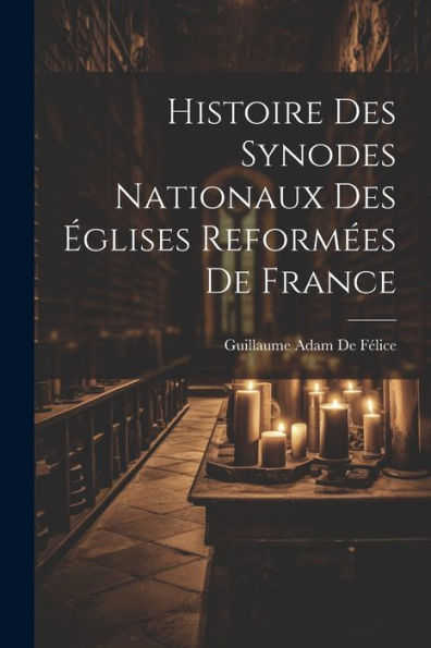 Histoire Des Synodes Nationaux Des Églises Reformées De France (French Edition)