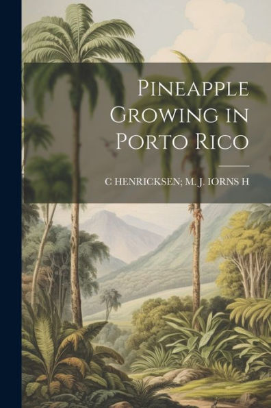 Pineapple Growing In Porto Rico