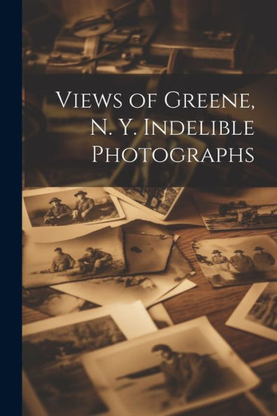 Views Of Greene, N. Y. Indelible Photographs