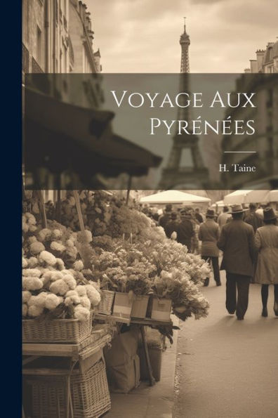 Voyage Aux Pyrénées (French Edition)