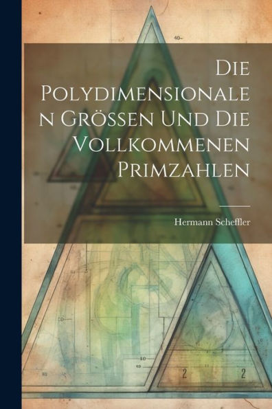 Die Polydimensionalen Grössen Und Die Vollkommenen Primzahlen