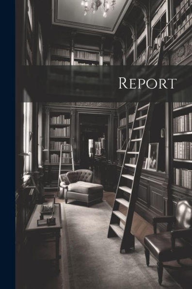 Report - 9781022020191