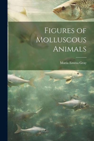 Figures Of Molluscous Animals
