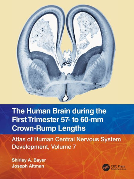 The Human Brain During The First Trimester 57- To 60-Mm Crown-Rump Lengths: Atlas Of Human Central Nervous System Development, Volume 7 (Atlas Of Human Central Nervous System Development, 7)