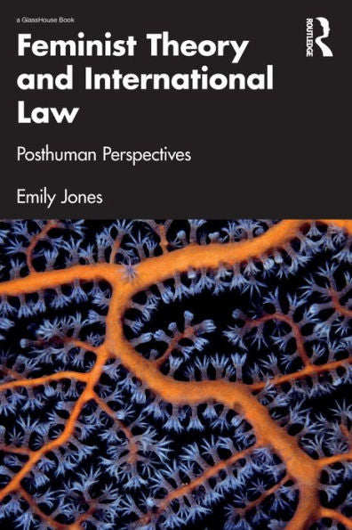 Feminist Theory And International Law