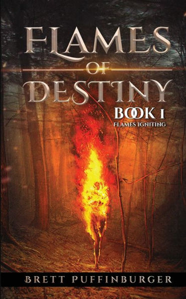 Flames Of Destiny Book 1: Flames Igniting: Flames Igniting