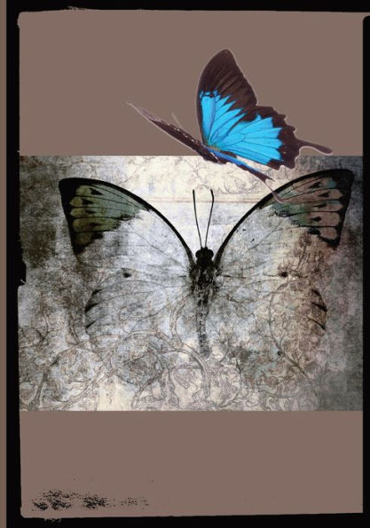 Beautiful Butterfly