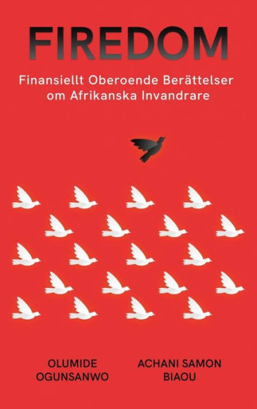 Firedom: Finansiellt Oberoende Berättelser Om Afrikanska Invandrare (Edición turca)