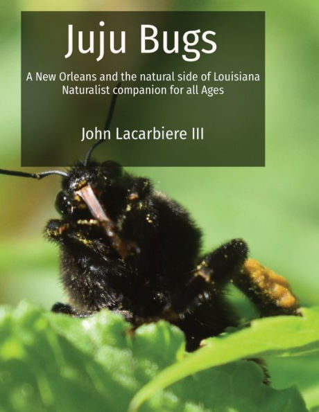 Juju Bugs: A New Orleans And The Natural Side Of Louisiana Naturalist Companion For All Ages