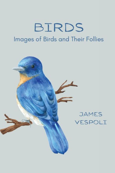 Birds: Images Of Birds And Their Follies