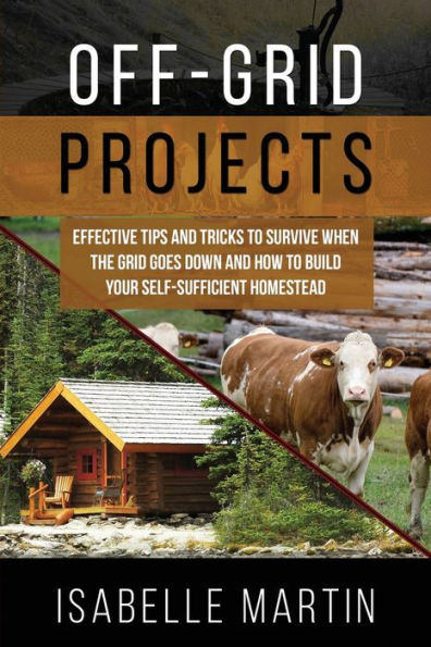 Off-Grid Projects: Effective Tips And Tricks To Survive When The Grid Goes Down And How To Build Your Self-Sufficient Homestead