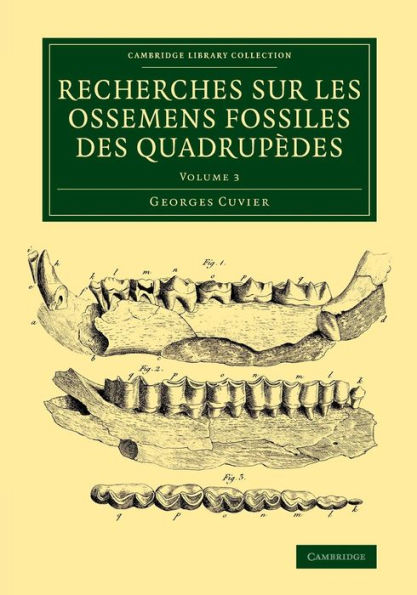 Recherches Sur Les Ossemens Fossiles Des Quadrupèdes (Cambridge Library Collection - Earth Science) (Volume 3)