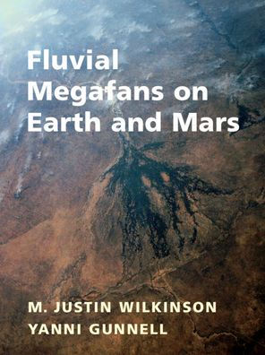 Fluvial Megafans On Earth And Mars