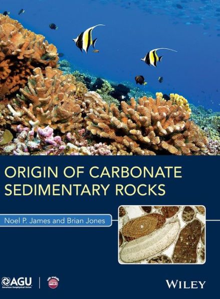 Origin Of Carbonate Sedimentary Rocks (Wiley Works) - 9781118652701