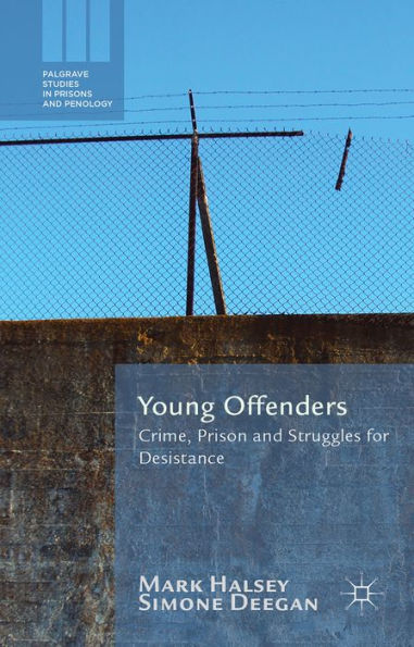 Young Offenders: Crime, Prison And Struggles For Desistance (Palgrave Studies In Prisons And Penology)