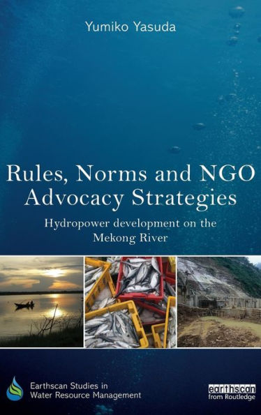 Rules, Norms And Ngo Advocacy Strategies