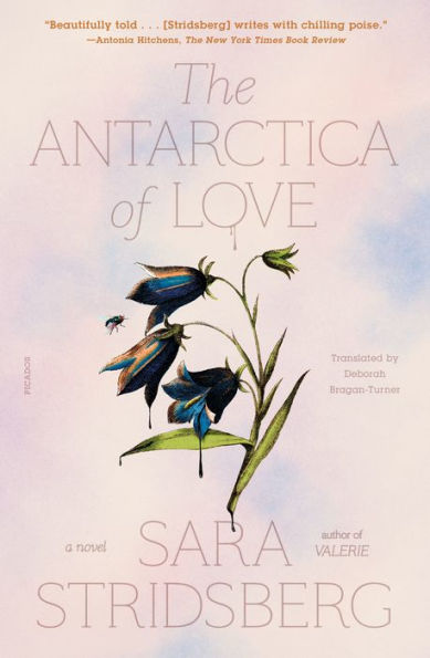 Antarctica Of Love