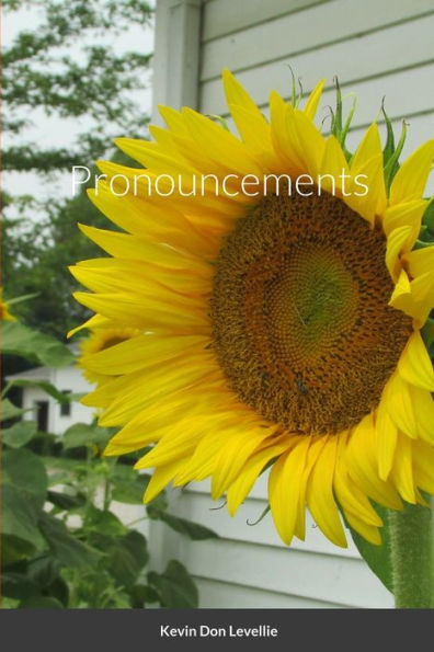 Pronouncements