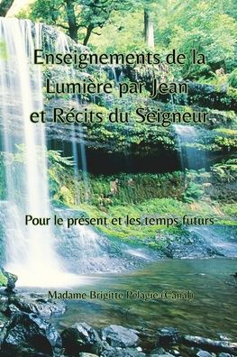 Enseignements De La Lumière Par Jean Et Récits Du Seigneur (Couverture Souple): Pour Le Présent Et Les Temps Futurs