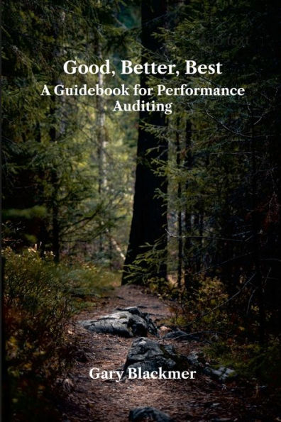 Good, Better, Best: A Guidebook For Performance Auditing