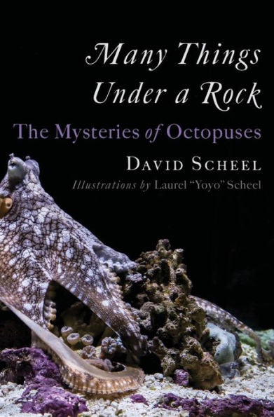 Many Things Under A Rock: The Mysteries Of Octopuses