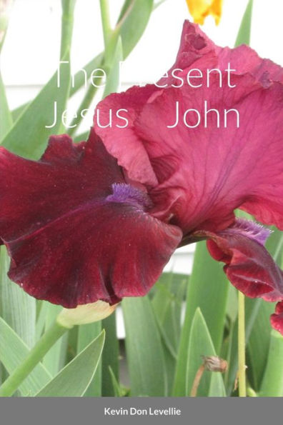 The Present Jesus John