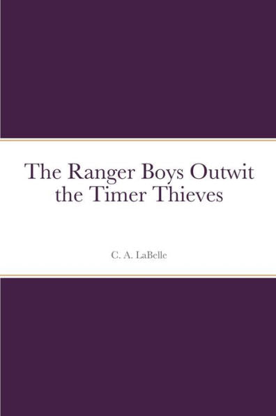 The Ranger Boys Outwit The Timer Thieves
