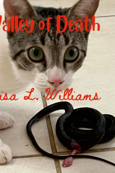 Valley Of Death