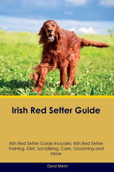 Guía del Irish Red Setter La guía del Irish Red Setter incluye: entrenamiento, dieta, socialización, cuidado, aseo y más del Irish Red Setter