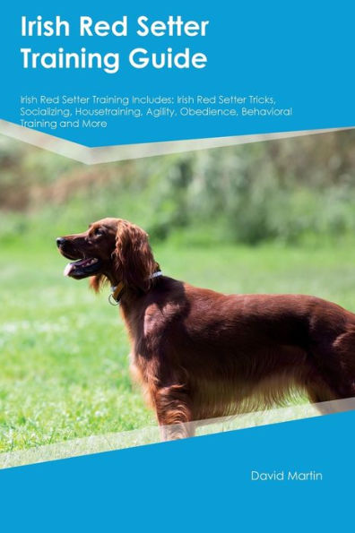 Guía de entrenamiento del Irish Red Setter El entrenamiento del Irish Red Setter incluye: trucos del Irish Red Setter, socialización, adiestramiento en el hogar, agilidad, obediencia, entrenamiento conductual y más