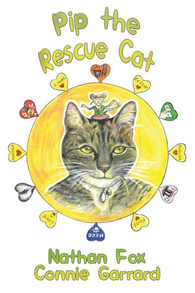 Pip The Rescue Cat