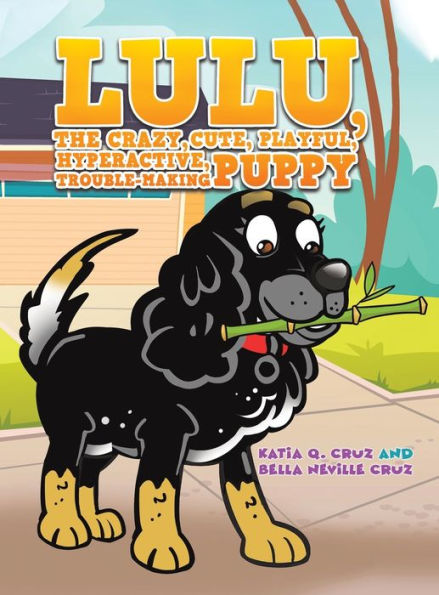Lulu, The Crazy, Cute, Playful, Hyperactive, Trouble-Making Puppy