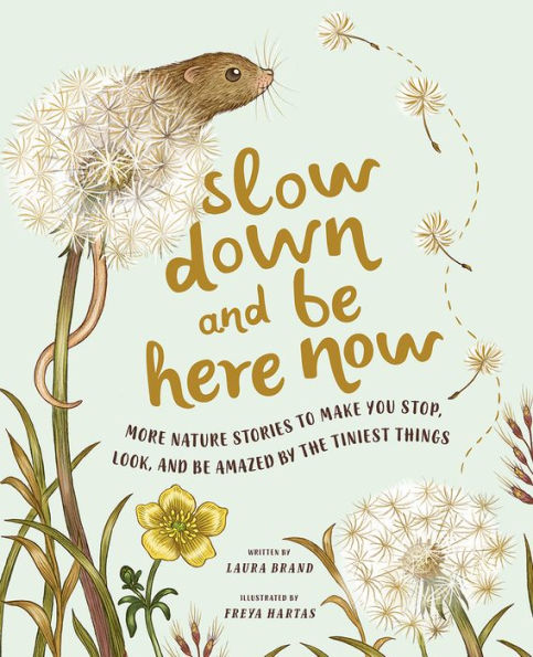 Slow Down And Be Here Now: More Nature Stories To Make You Stop, Look, And Be Amazed By The Tiniest Things