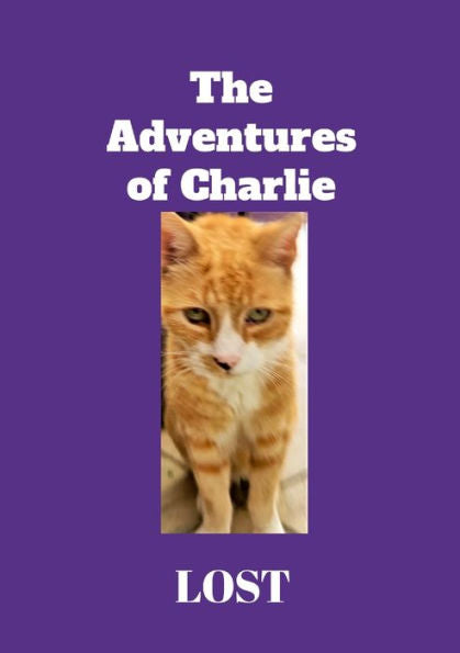The Adventures Of Charlie: Lost