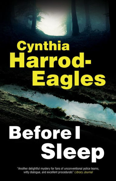 Before I Sleep (A Detective Inspector Slider Mystery, 24)