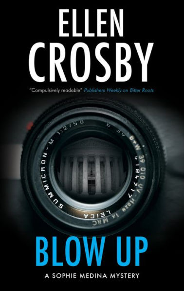 Blow Up (A Sophie Medina Mystery, 3)