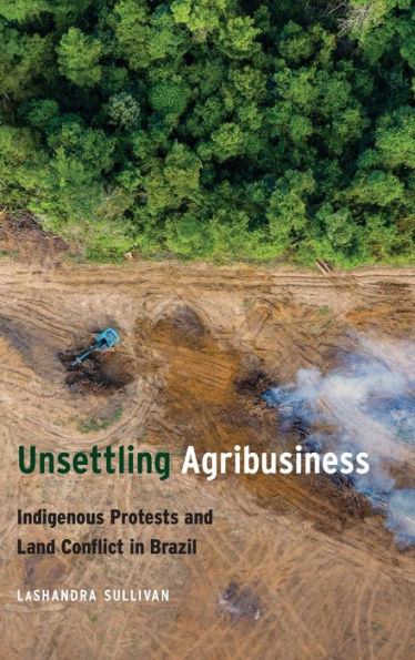 Unsettling Agribusiness: Indigenous Protests And Land Conflict In Brazil