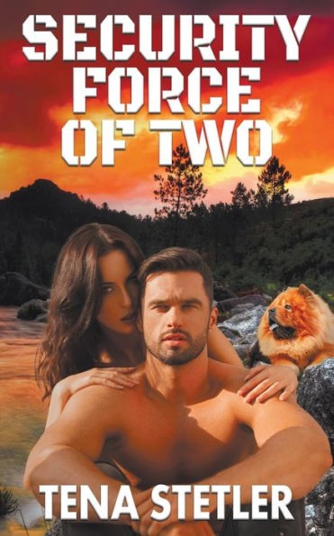 Security Force Of Two (Mountain Town Mysteries)