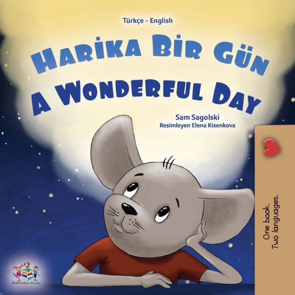 A Wonderful Day (Turkish English Bilingual Book For Kids) (Turkish English Bilingual Collection) (Turkish Edition)
