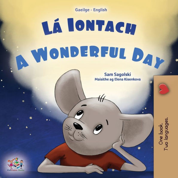 A Wonderful Day (Irish English Bilingual Book For Kids) (Irish English Bilingual Collection) (Irish Edition)
