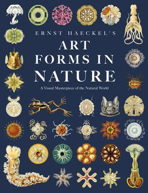 Ernst Haeckel'S Art Forms In Nature: A Visual Masterpiece Of The Natural World