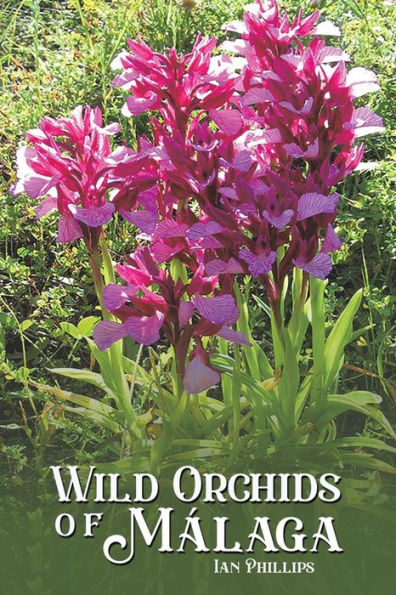 Wild Orchids Of Málaga
