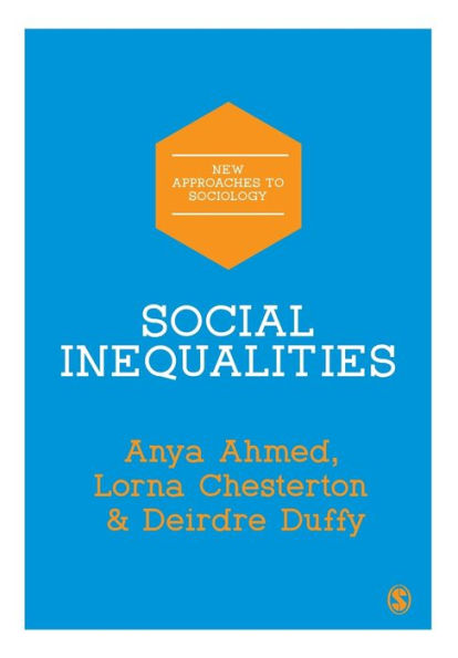 Social Inequalities (New Approaches To Sociology)