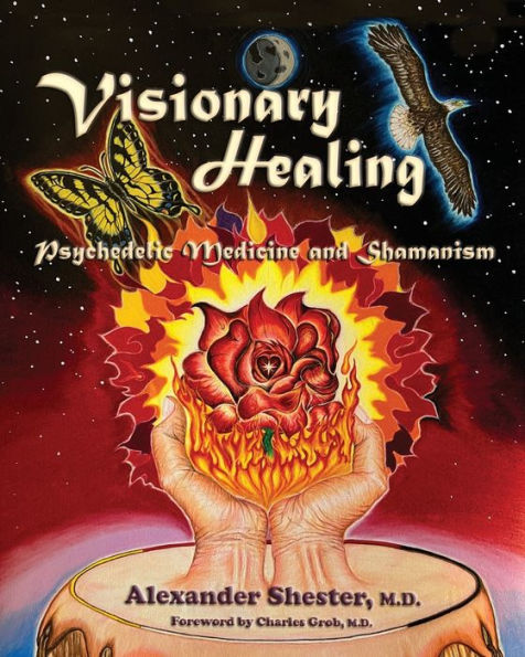 Visionary Healing Psychedelic Medicine And Shamanism - 9781587906343